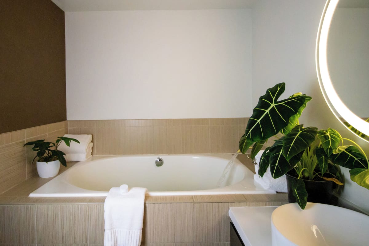 Combined shower/tub, designer toiletries, hair dryer, bathrobes