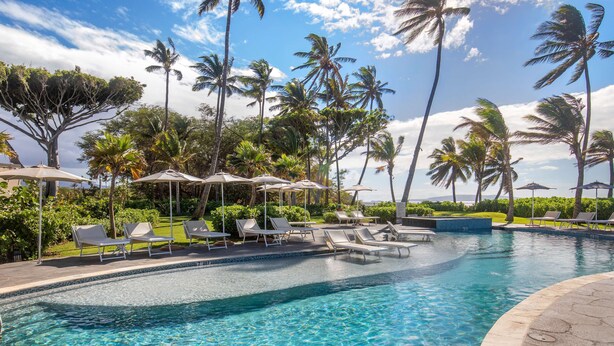 A clear blue pool with lounge chairs and umbrellas, surrounded by palm trees.