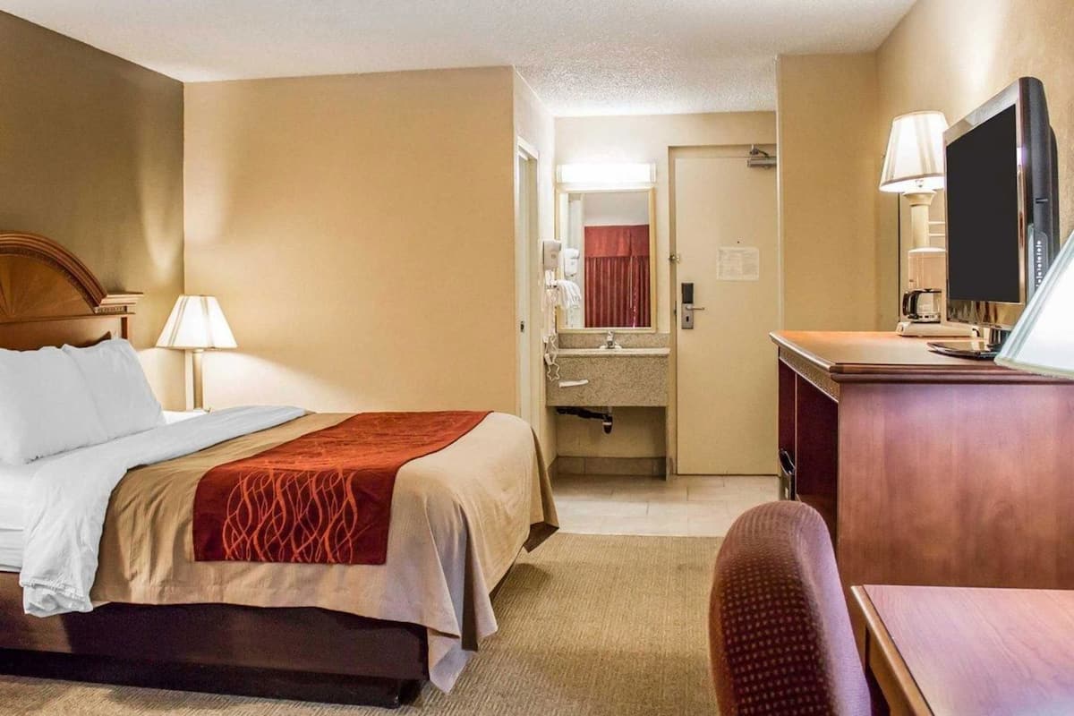 Iron/ironing board, free cribs/infant beds, rollaway beds, free WiFi