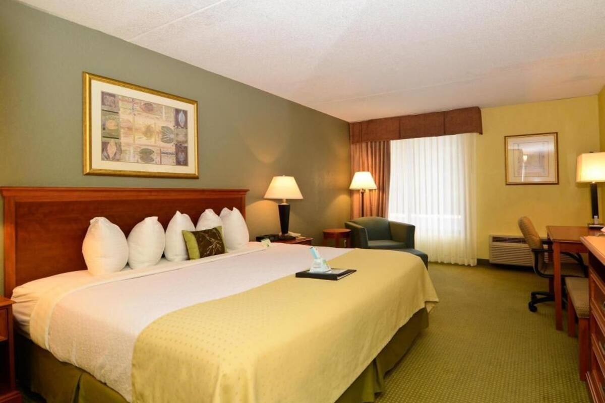 Desk, blackout drapes, iron/ironing board, free WiFi