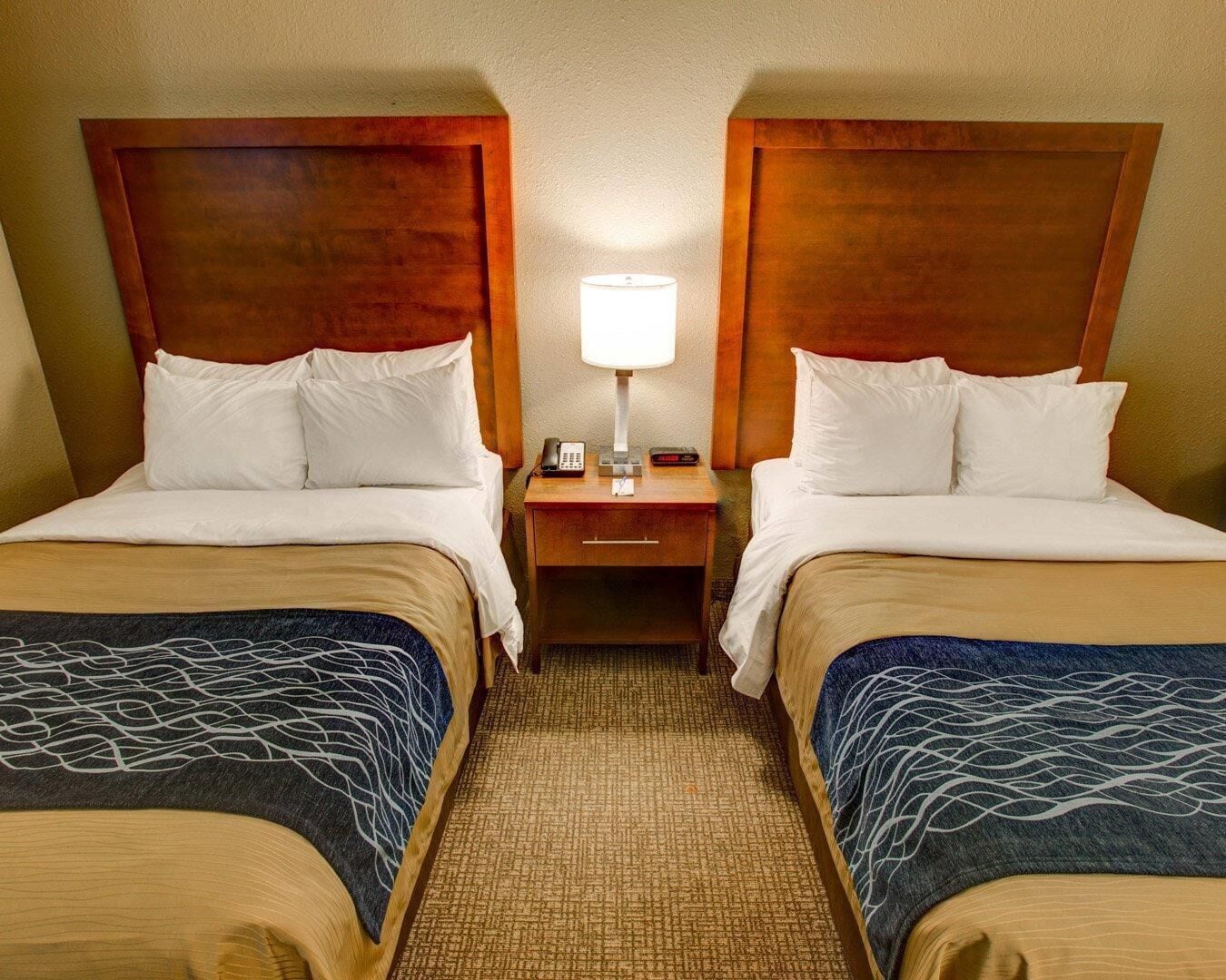 A hotel room with two beds, a nightstand with a lamp, and a carpeted floor.