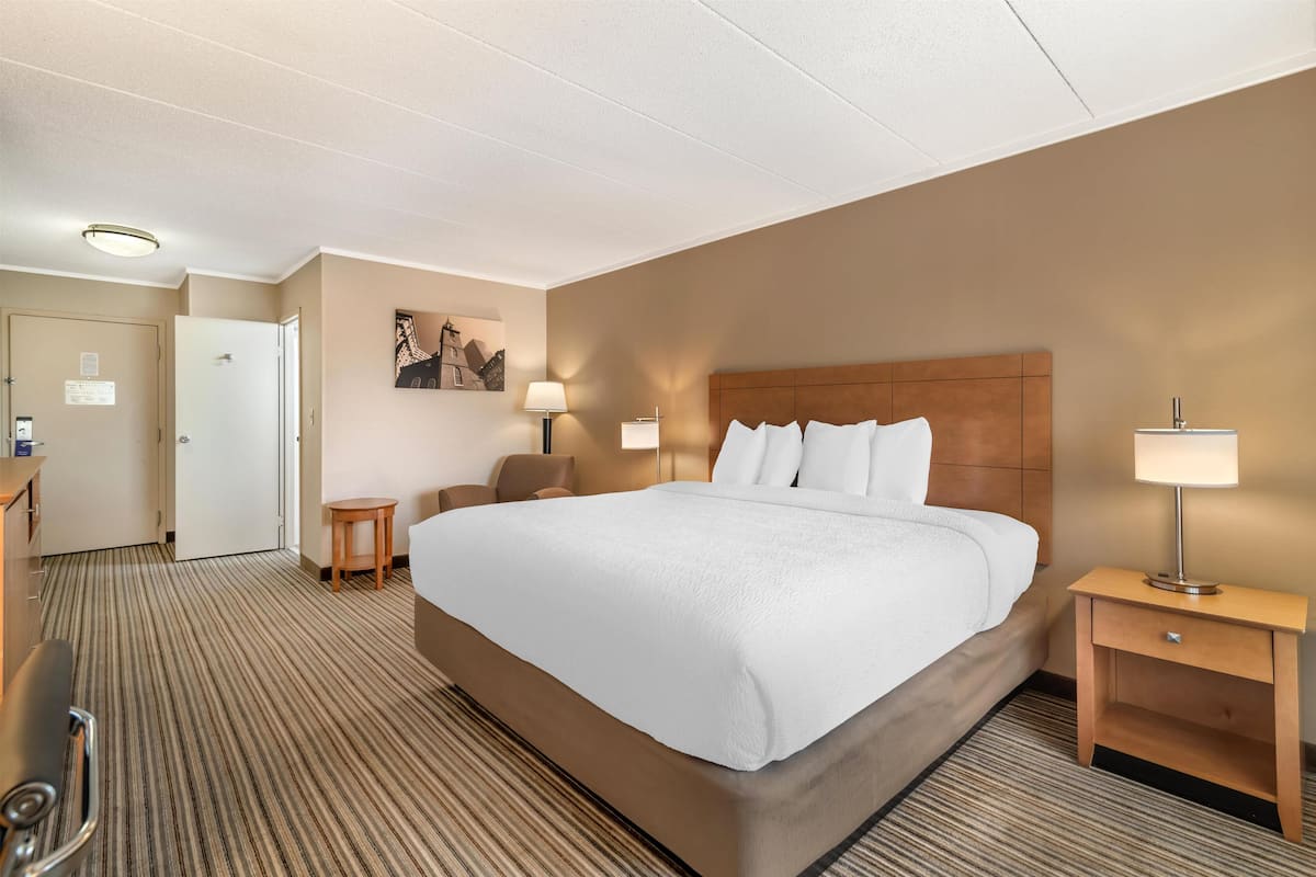 Quarto standard, 1 cama King, para não fumantes, geladeira e micro-ondas | Escrivaninha, espaço de trabalho para notebook, cortinas blackout