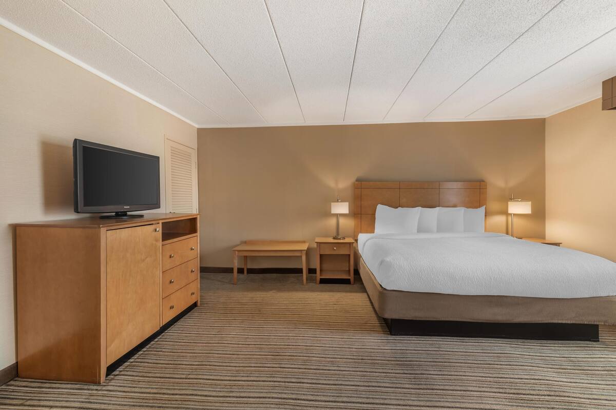 Standard Room, 1 King Bed, Non Smoking, Refrigerator & Microwave (with Sofabed) | Desk, laptop workspace, blackout drapes, soundproofing