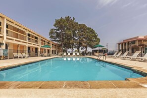 Outdoor pool, sun loungers