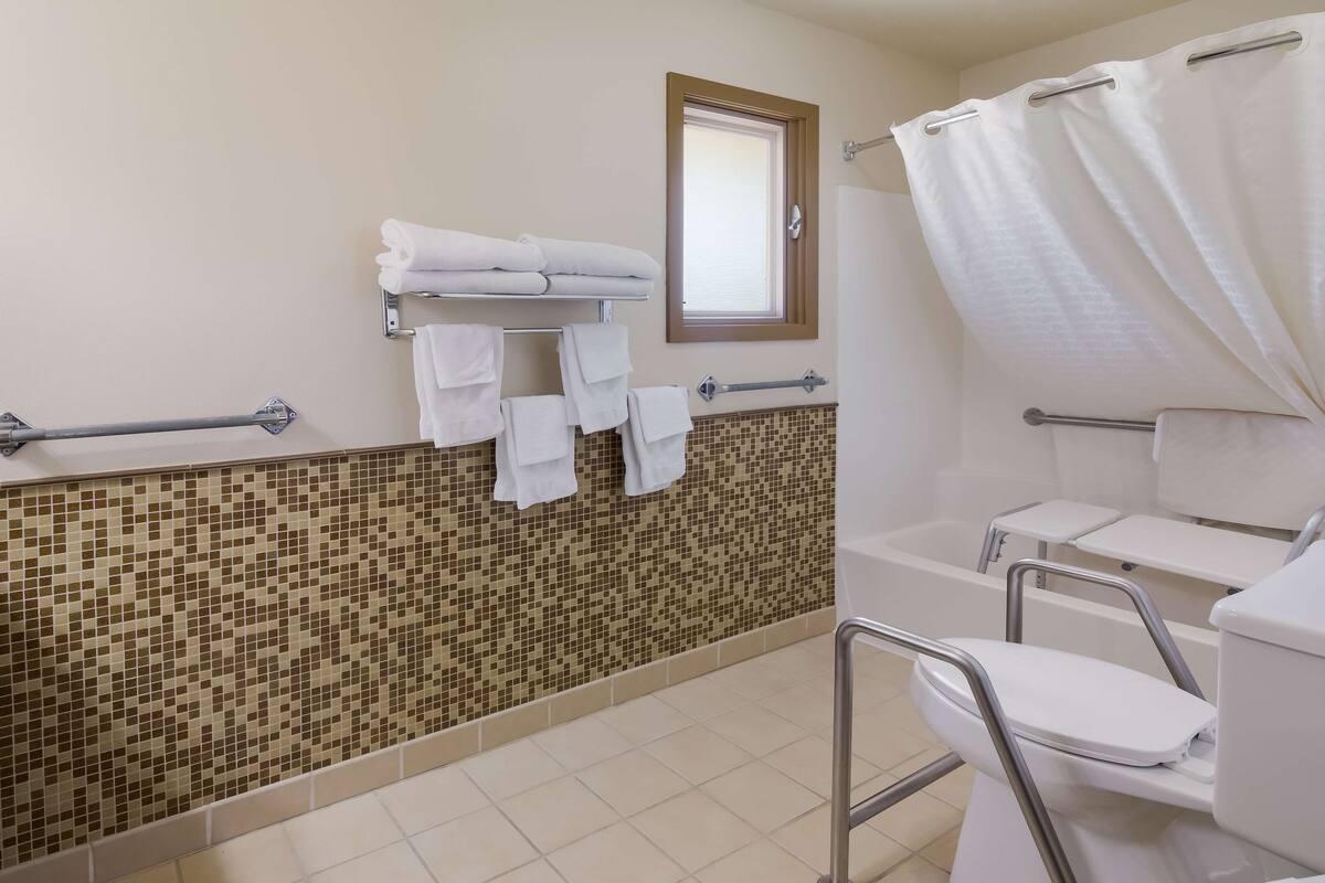 standard room, 1 queen bed, accessible, bathtub | bathroom | free toiletries, hair dryer, towels