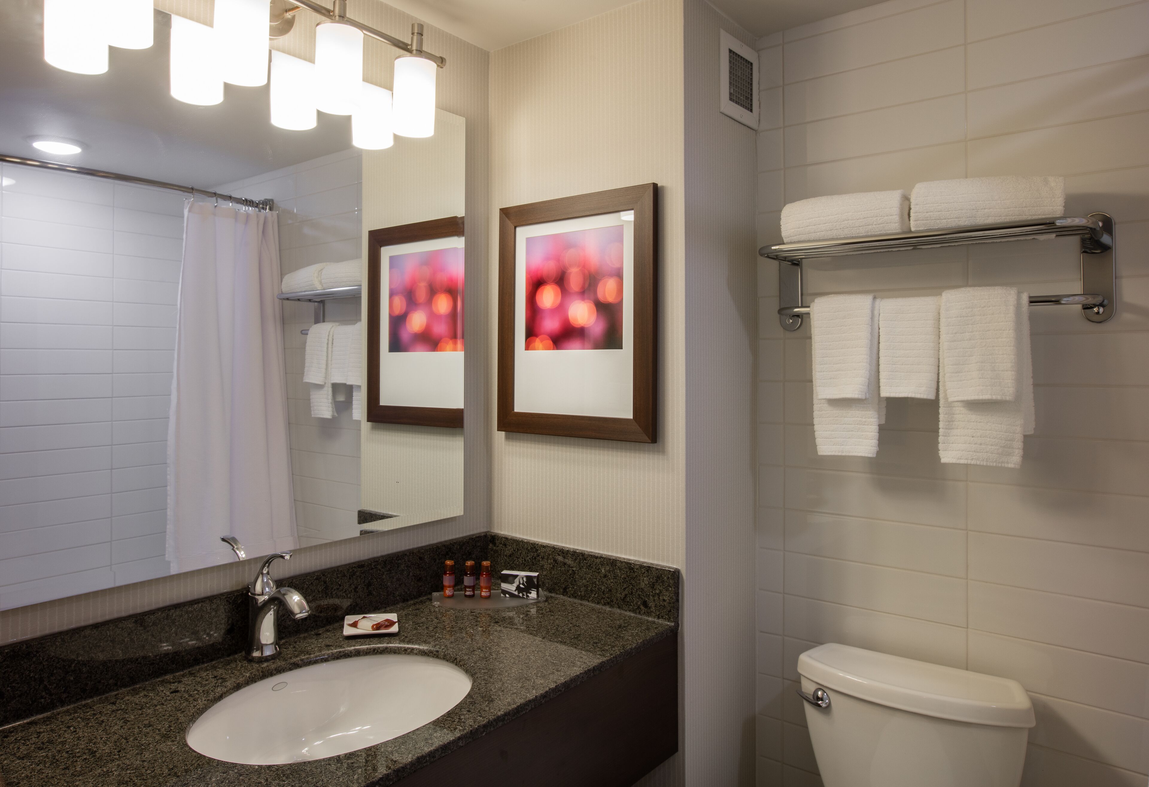 combined shower/bathtub, free toiletries, hair dryer, towels