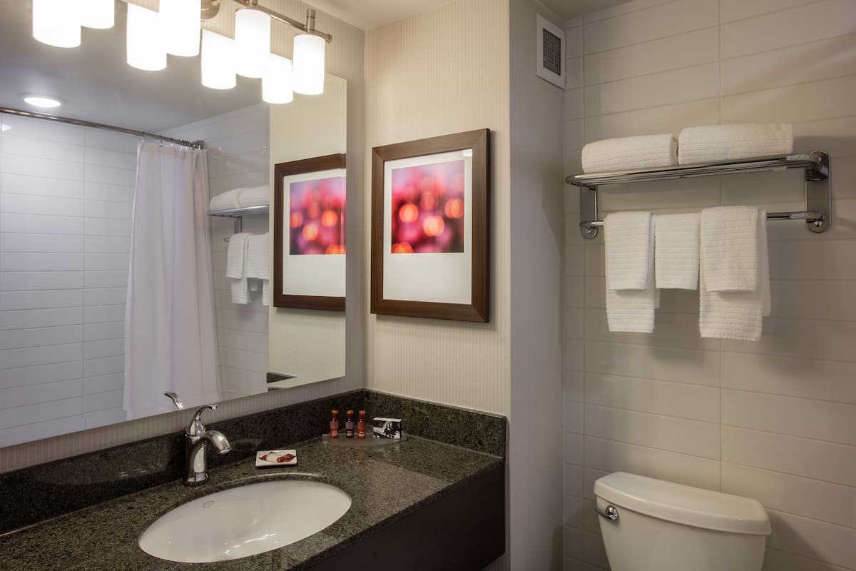 combined shower/bathtub, free toiletries, hair dryer, towels