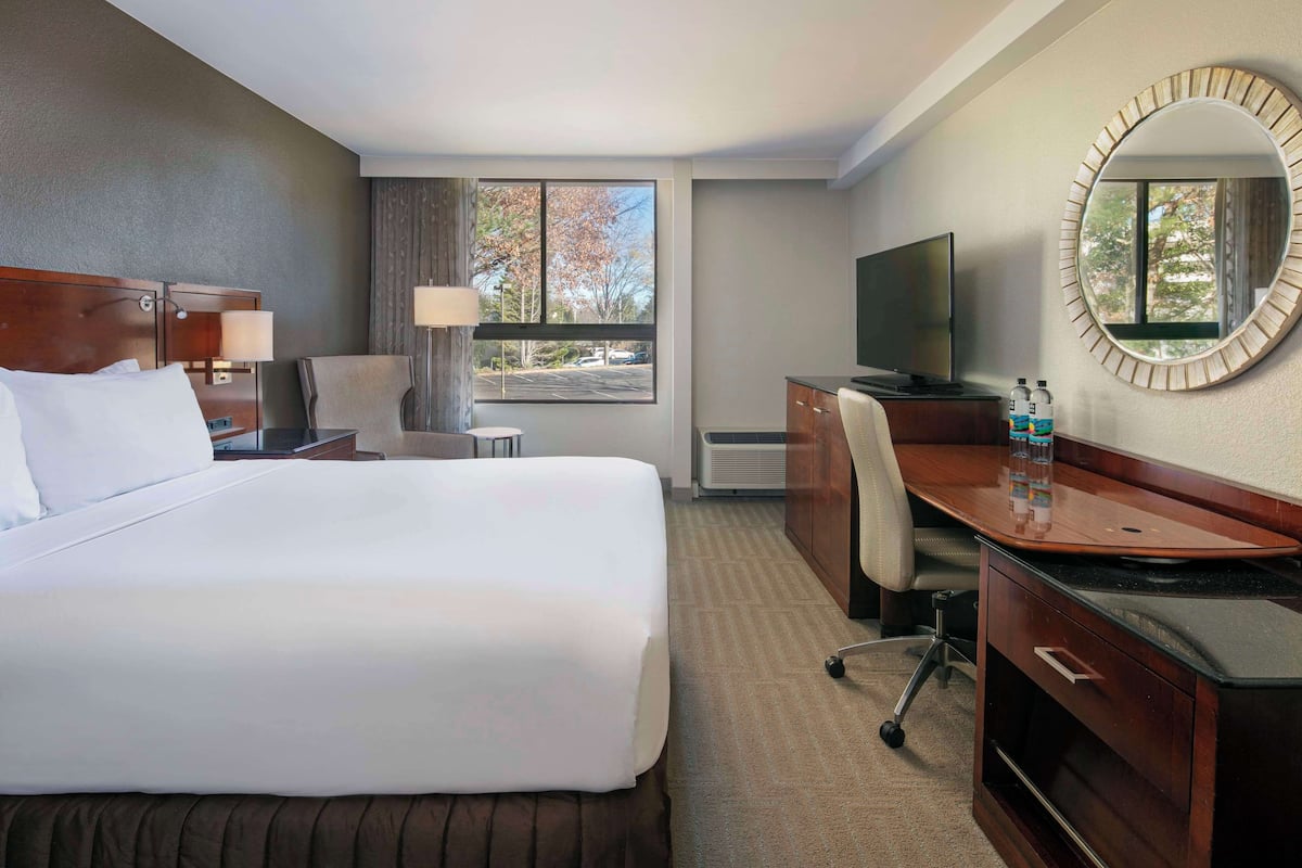 A hotel room with a large bed, a desk with a computer, a TV, and a window with a view of trees and a parking lot.