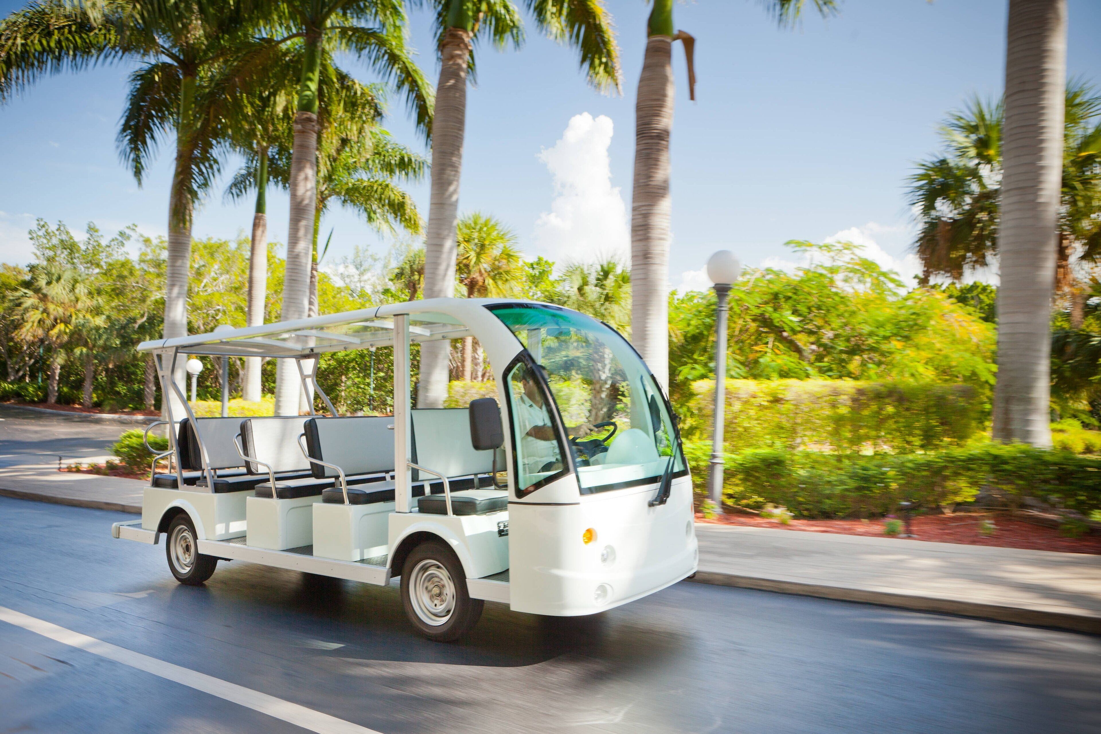 A white electric golf cart on a road with palm trees and greenery in the background.