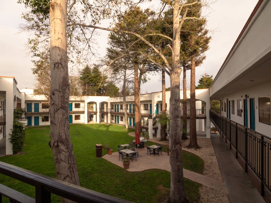 A courtyard with a lawn, trees, outdoor seating, and a building with balconies.