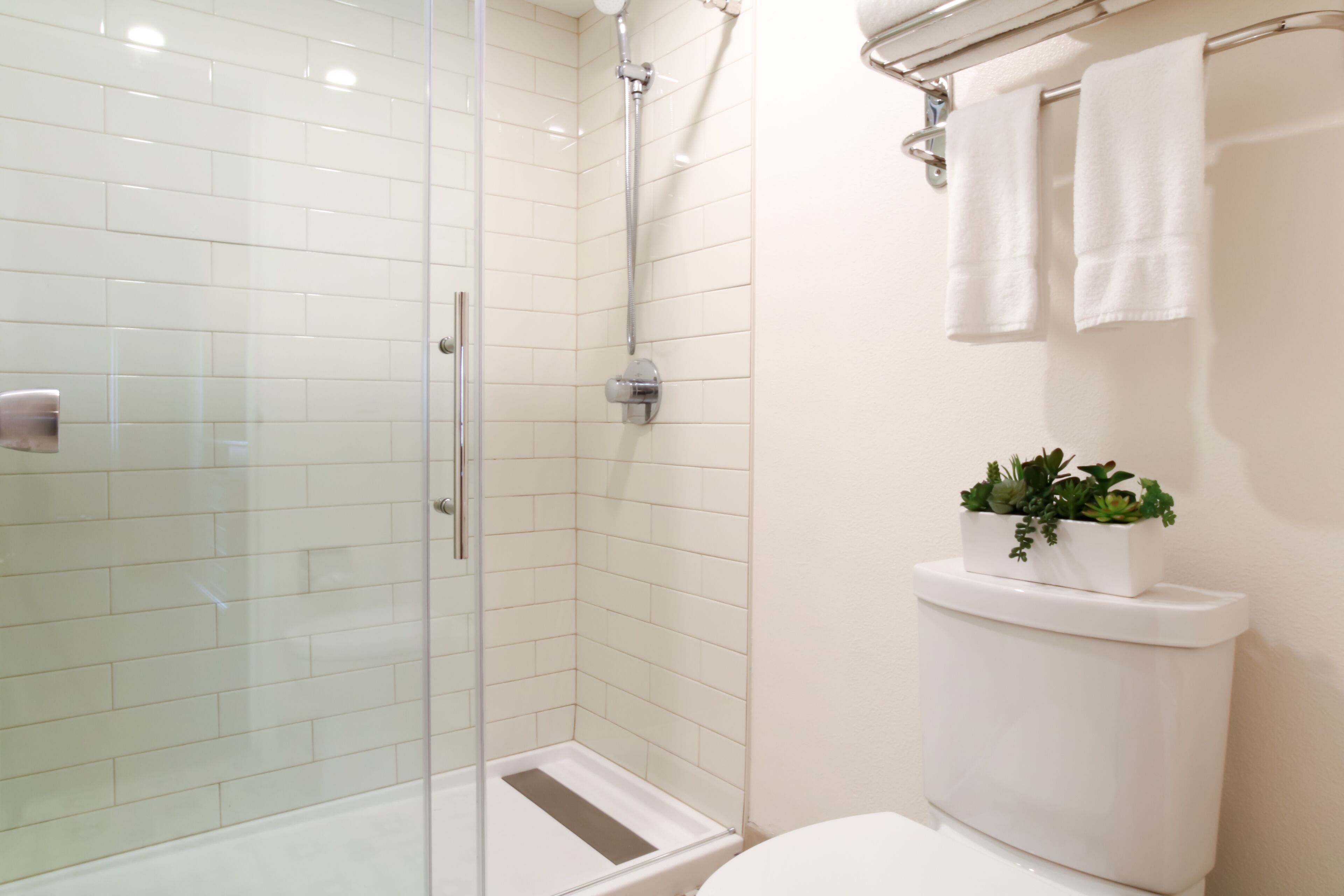 A modern bathroom with a glass-enclosed shower, a white toilet, and a small plant on the toilet tank.