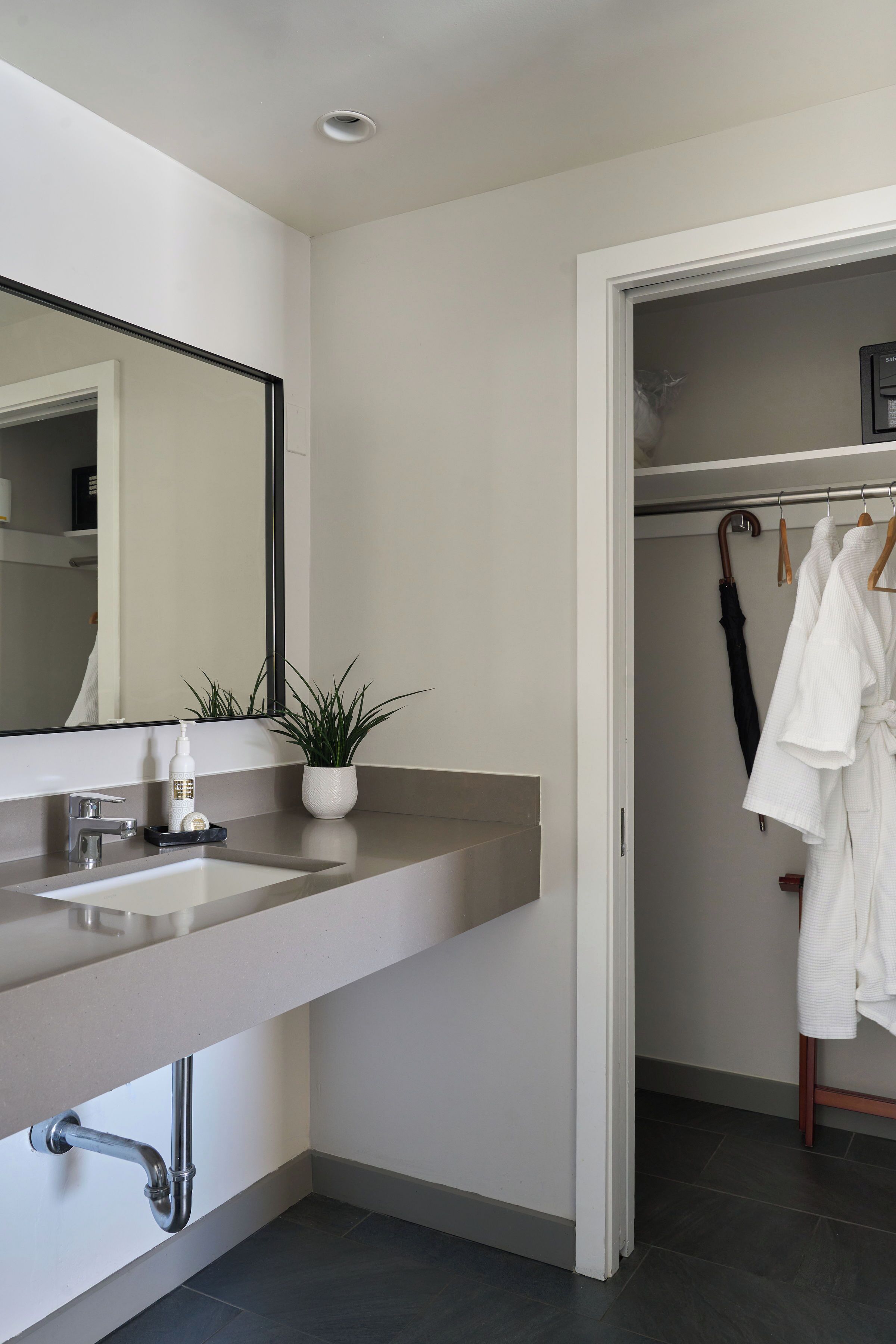 Un bany modern amb un mirall gran, un lavabo, una planta en test i un armari amb abrics penjats.