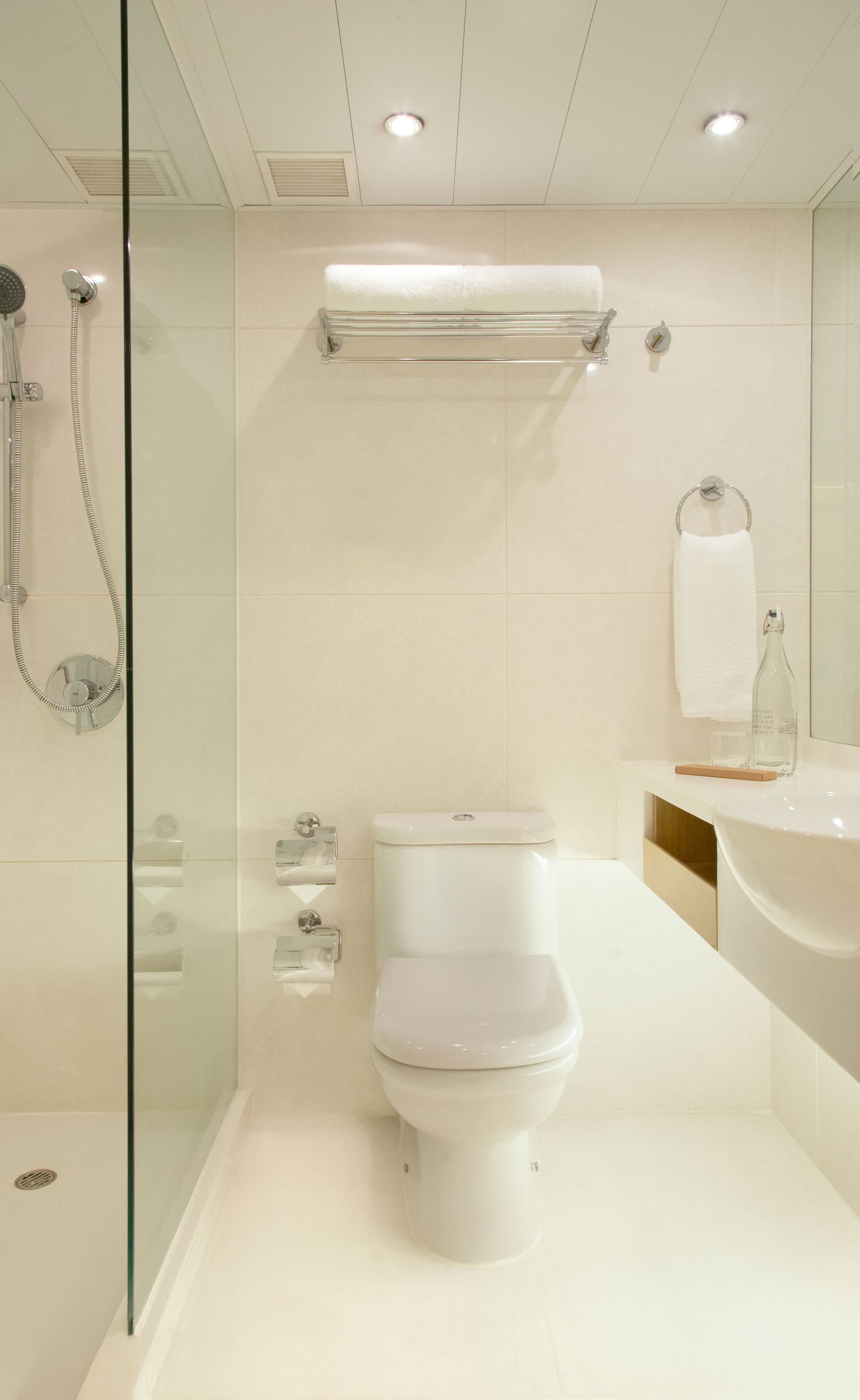 A modern bathroom with a glass shower enclosure, a toilet, and a sink with a mirror.