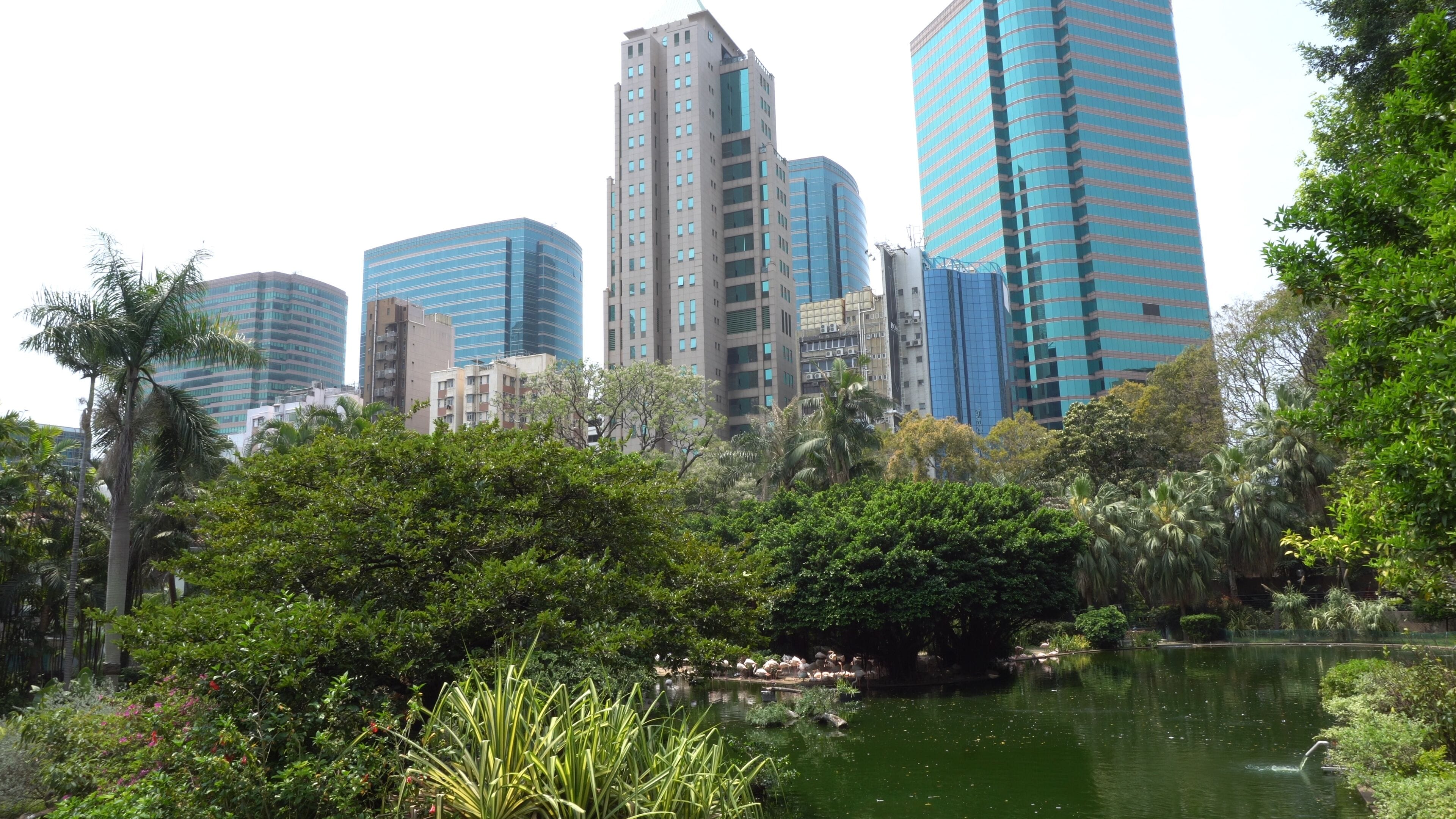 Un paysage urbain avec des immeubles modernes de grande hauteur et un espace vert comprenant un étang.