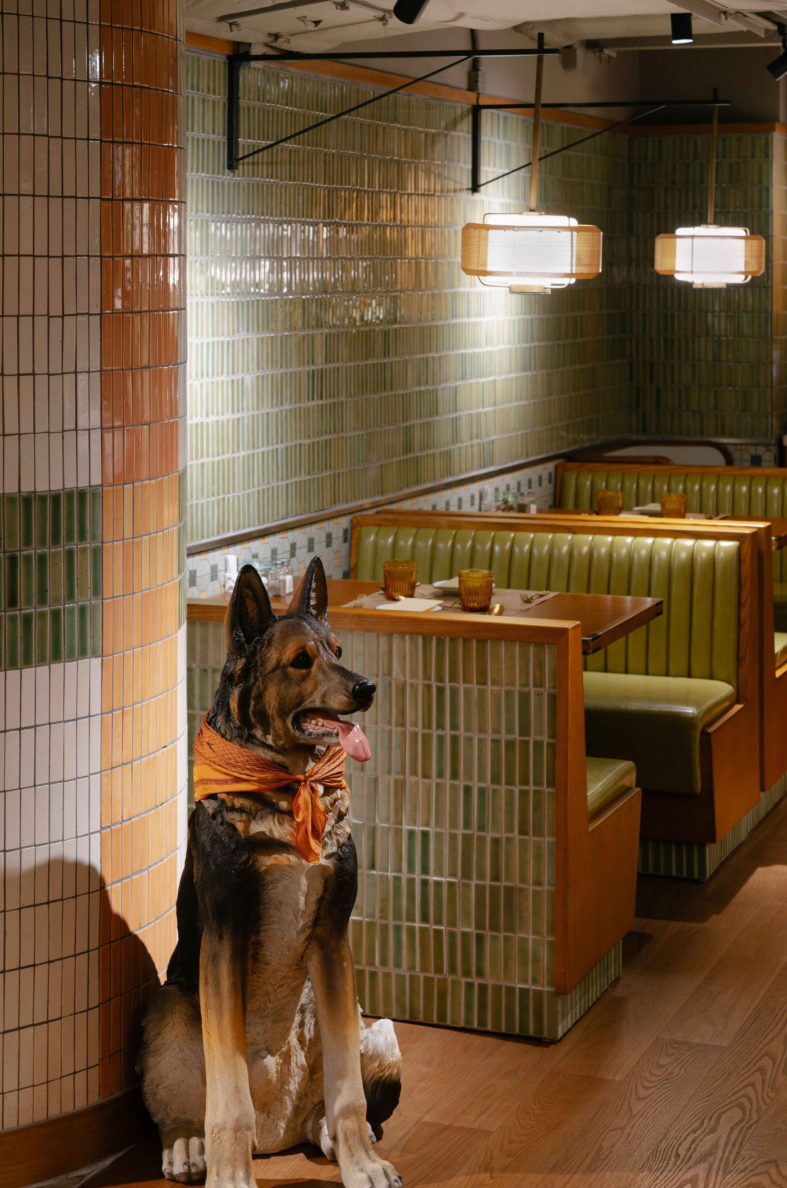 Een hond zit in een restaurant met groene banken en een betegelde muur.