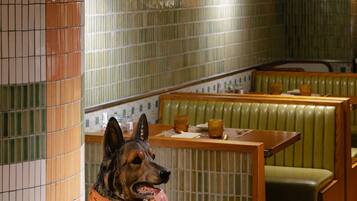 A dog sitting in a restaurant with green booths and a tiled wall.