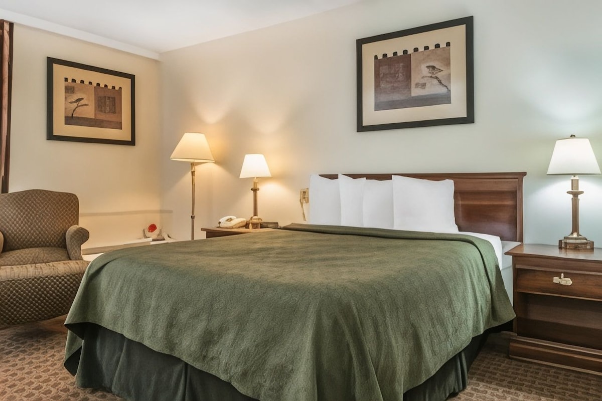 Habitación de hotel con una cama, dos lámparas de noche, una silla, una mesita de noche con un teléfono y dos cuadros en la pared.