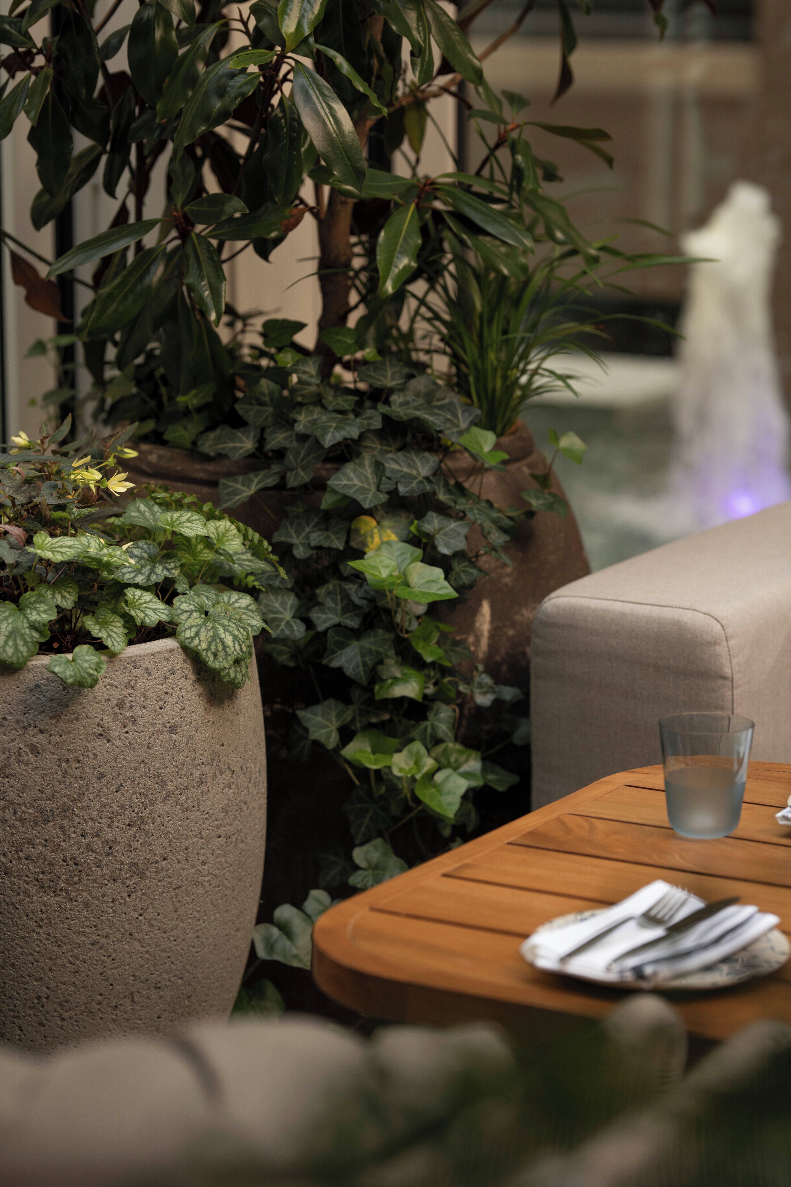 A stone planter with green foliage, a wooden table with a glass and utensils, and a beige sofa.