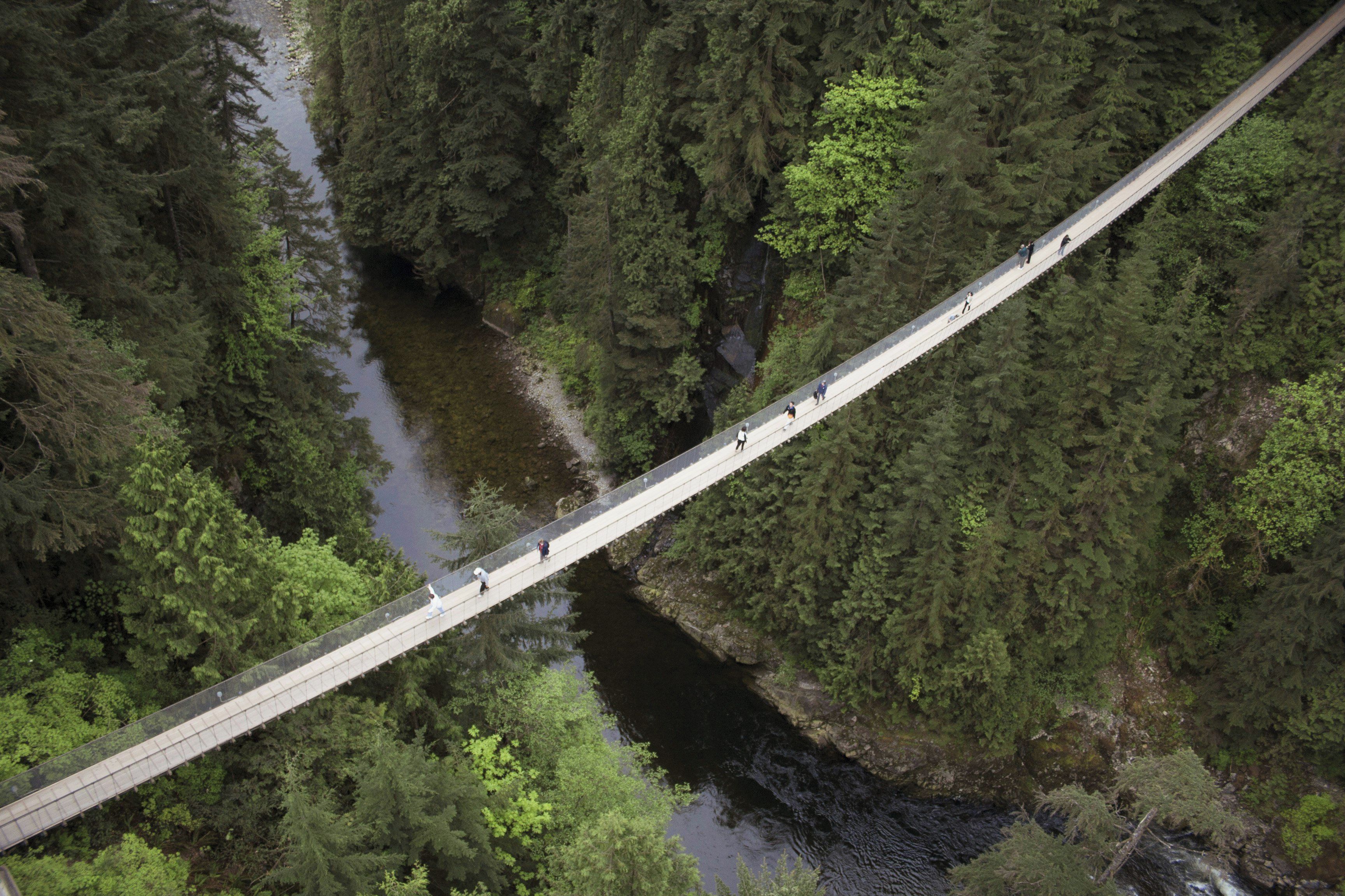 A suspension bridge over a river surrounded by dense forest.
