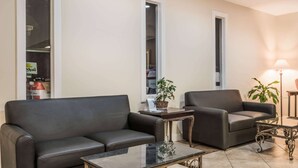 A living room with two dark leather sofas, a glass coffee table, and a potted plant. - Baymont by Wyndham Lumberton NC (Lumberton)