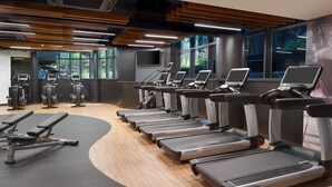 Un gimnasio con cintas de correr, máquinas de pesas y un ventanal con vistas al verdor.