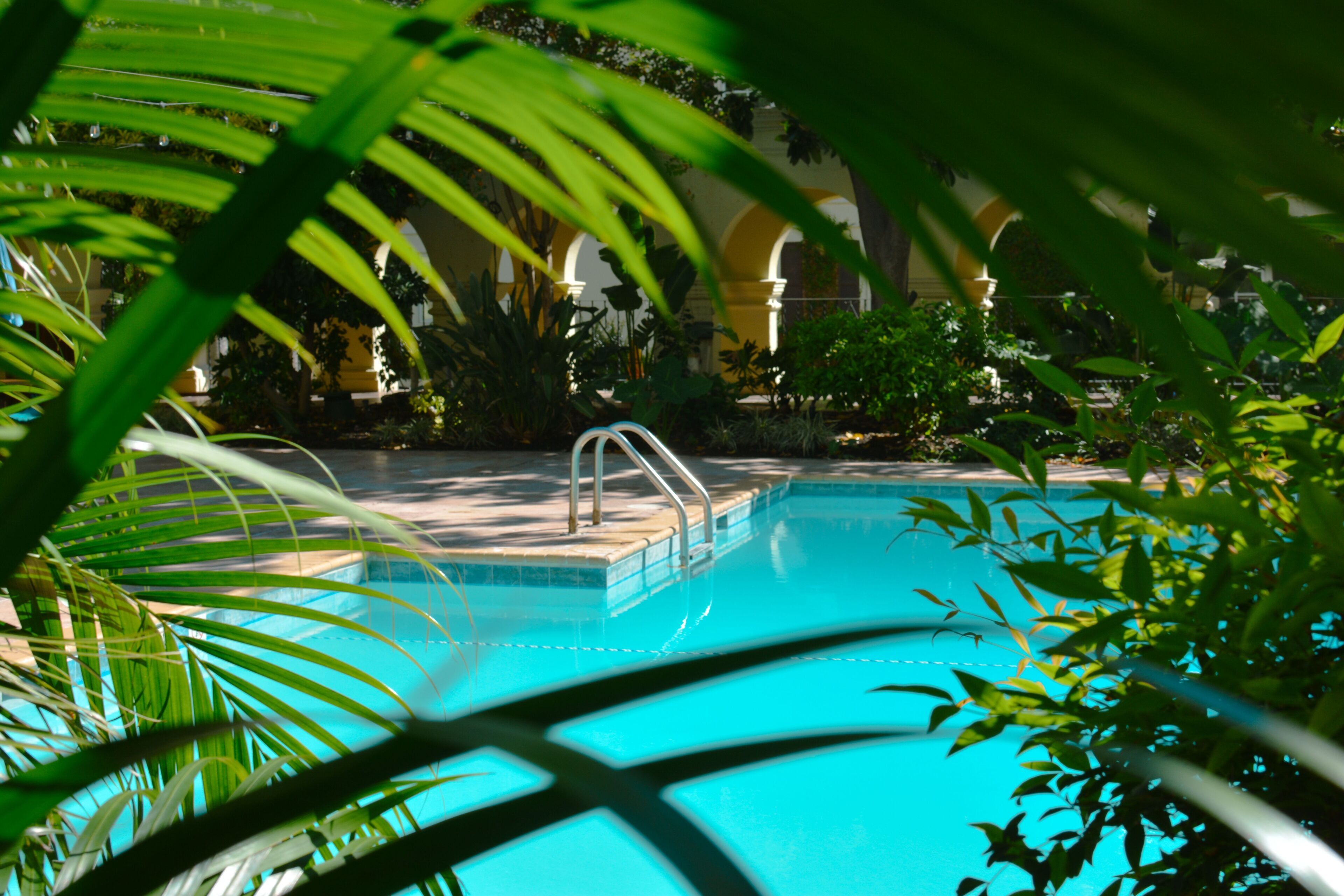 2 室外游泳池，池畔遮阳伞，日光浴躺椅