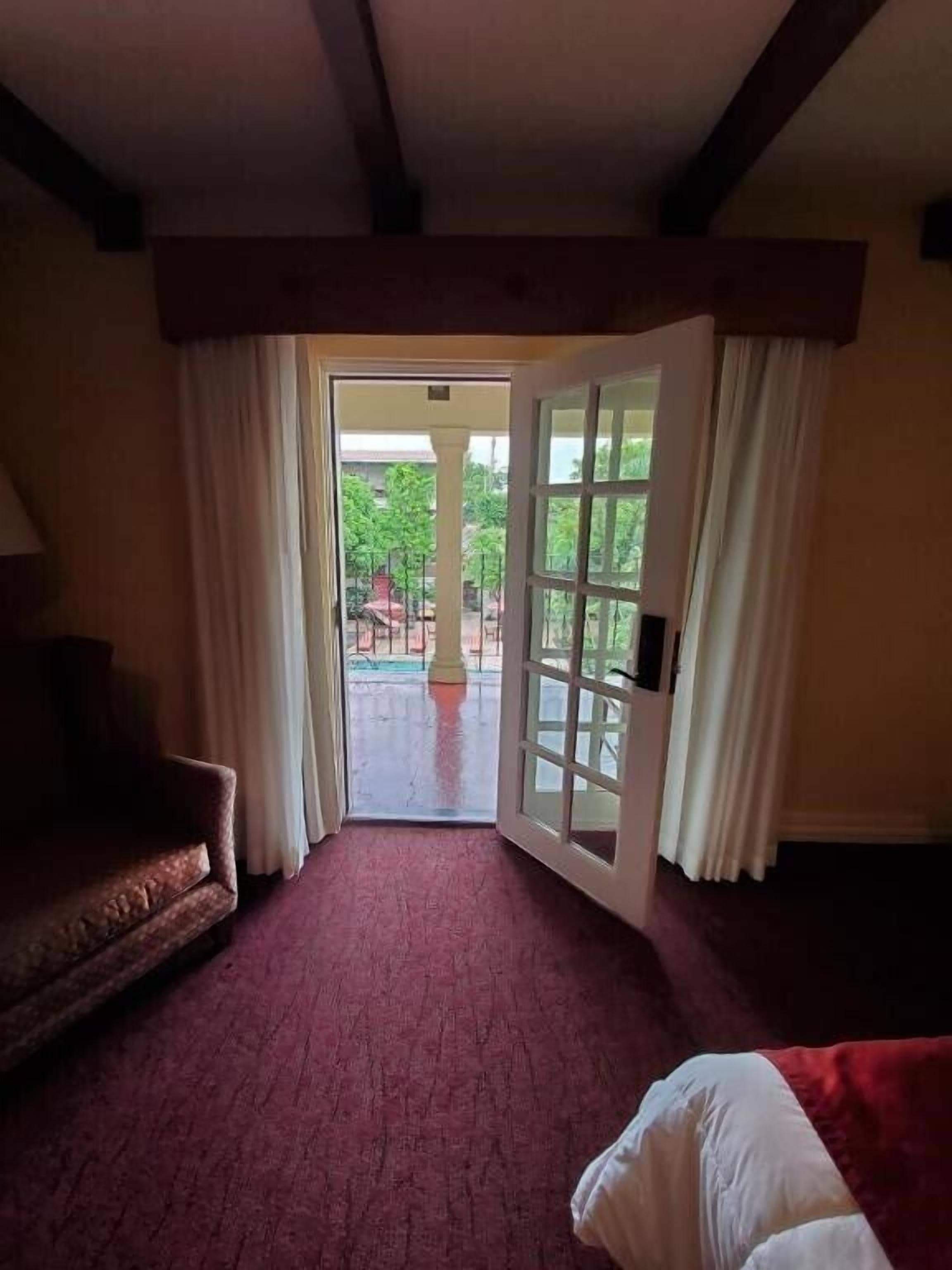 A hotel room with a red carpet, a sofa, a bed, and a view of a pool and greenery outside.
