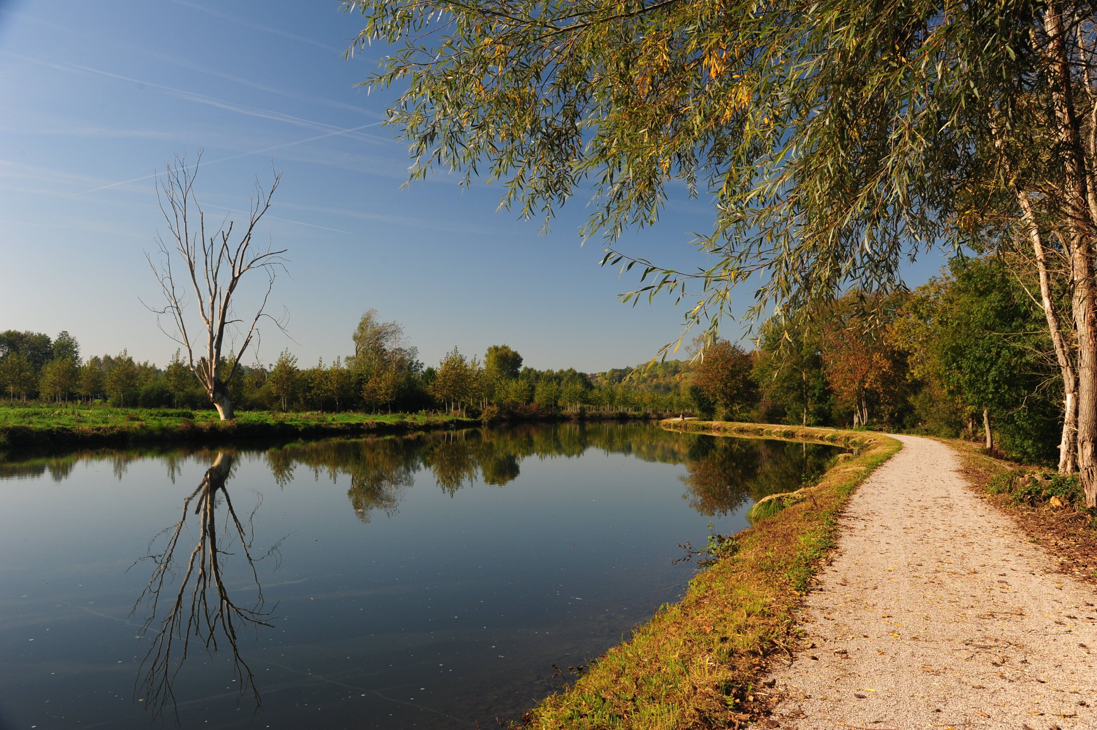 Un sentier paisible le long de la rivière, où l’on peut admirer un reflet limpide dans l’eau, bordé d’arbres et d’un chemin de terre.