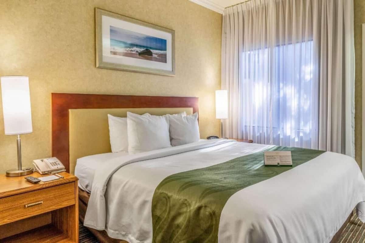 A hotel room with a bed, a nightstand with a phone, a framed picture on the wall, and a window with curtains.