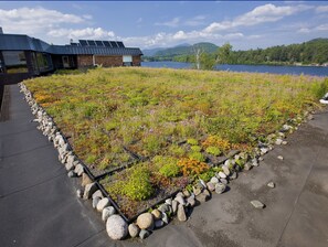 A rooftop garden with a variety of plants and a solar panel array. - Golden Arrow Lakeside Resort (Lake Placid)