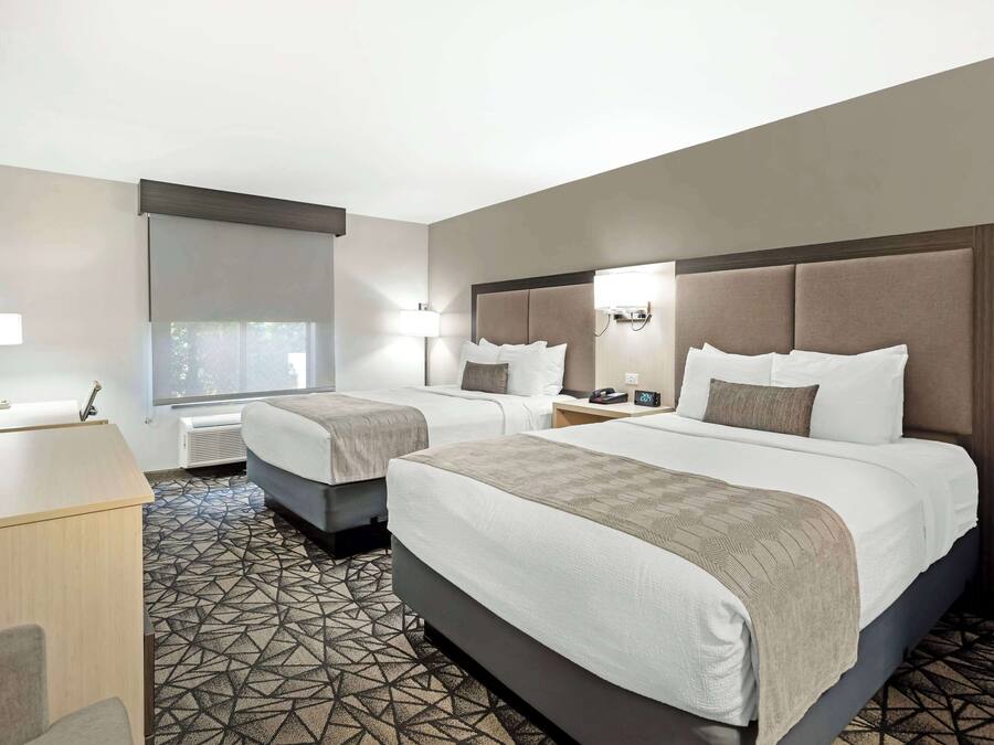Una habitación de hotel con dos camas, un escritorio y una alfombra estampada.