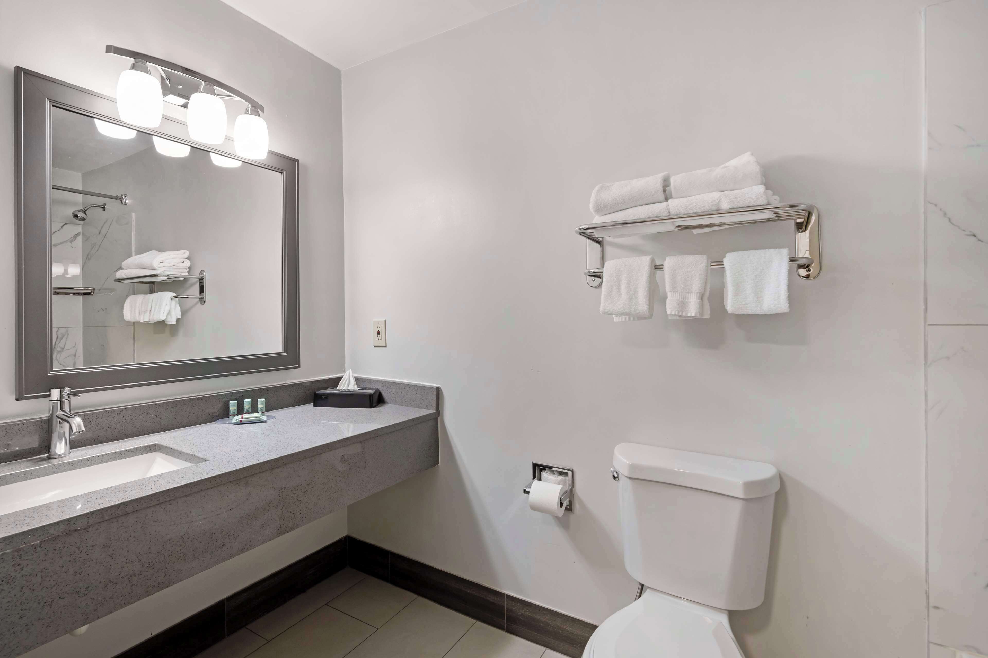 suite, 1 king bed, non smoking, refrigerator & microwave | bathroom | bathtub, eco-friendly toiletries, hair dryer, towels