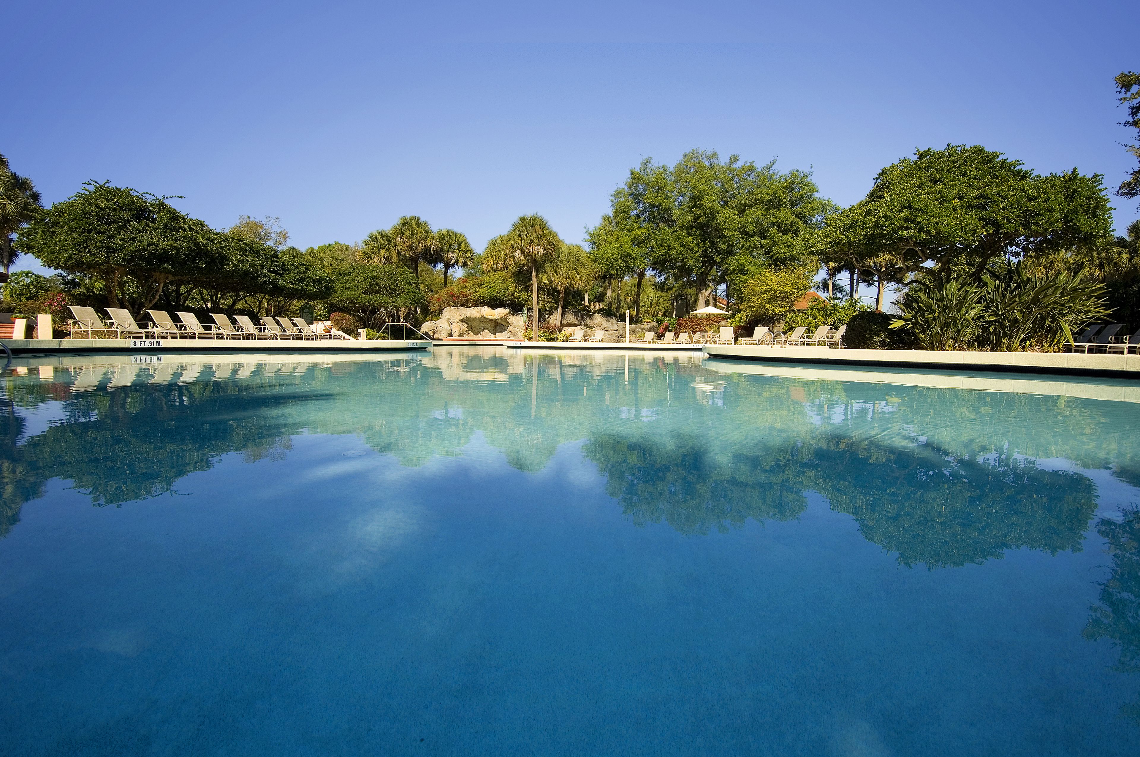 Piscine extérieure, parasols, chaises longues