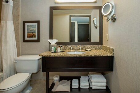 Hilton Winnipeg Airport Suites - Image 14