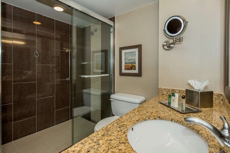 Hilton Winnipeg Airport Suites - Image 23