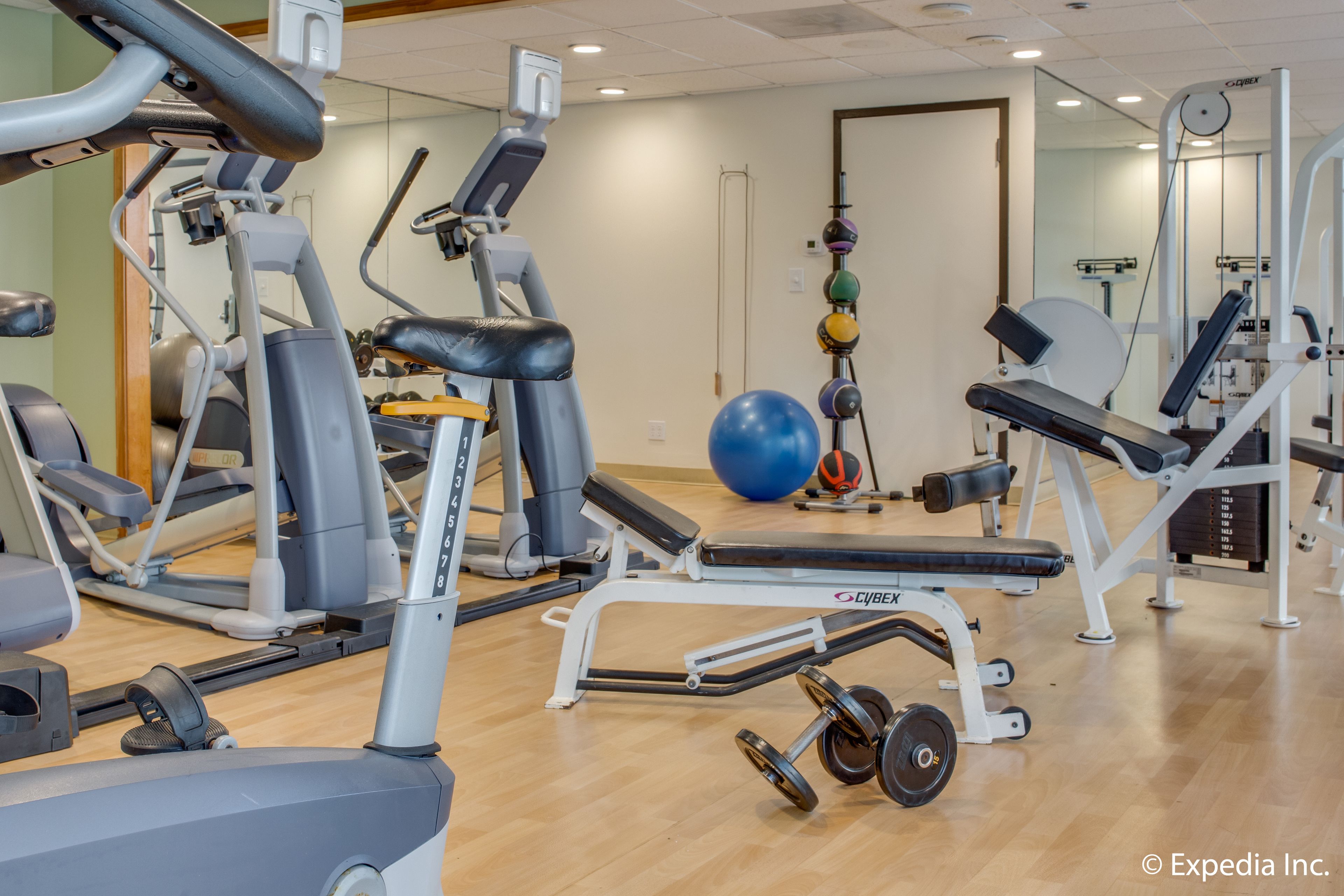 A gym with various exercise equipment, including treadmills, weight machines, and a large exercise ball.