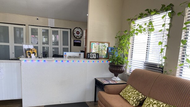 A reception area with a reception desk, a clock, a plant, and a sofa with patterned cushions. - Nation's Inn Kinston (Kinston)