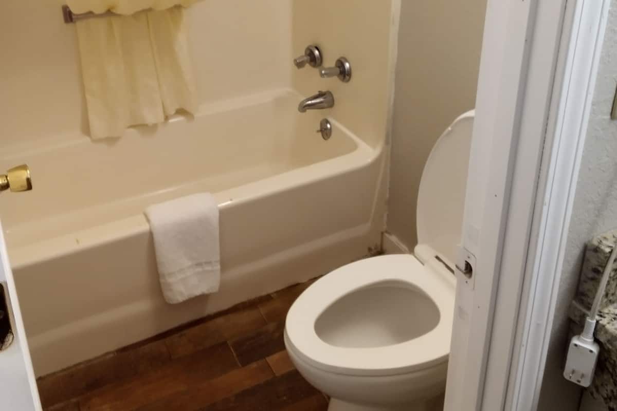 Articles de toilette gratuits, sĂšche-cheveux, serviettes fournies