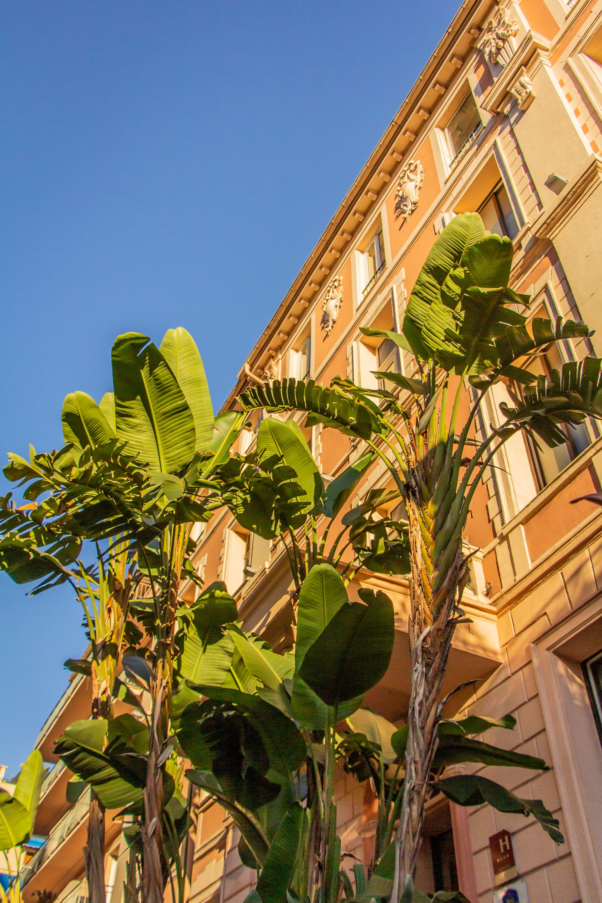 Foto - Best Western Premier Hotel Prince de Galles