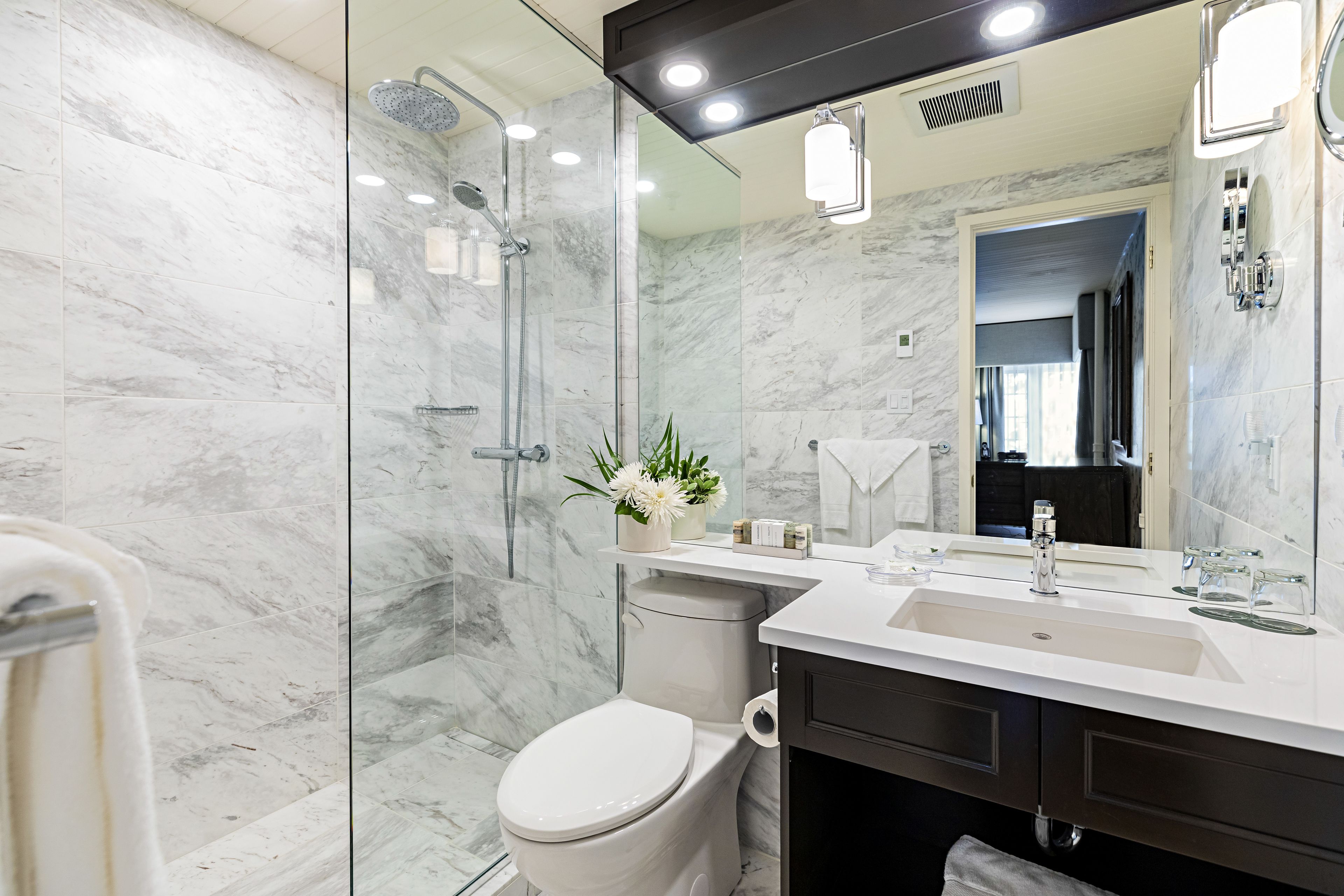A modern bathroom with a glass-enclosed shower, a white toilet, a vanity with a mirror, and a small plant on the counter.