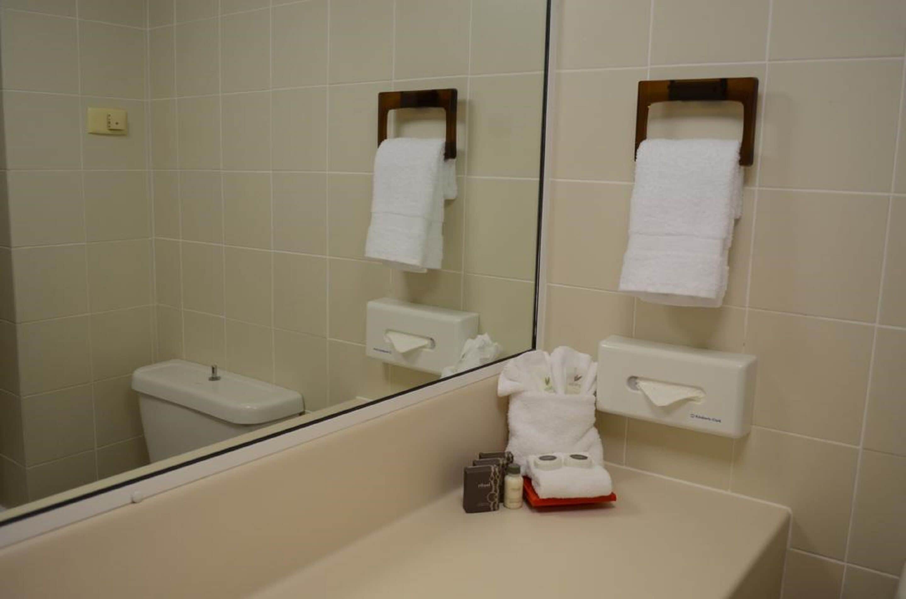 combined shower/bathtub, eco-friendly toiletries, hair dryer, towels