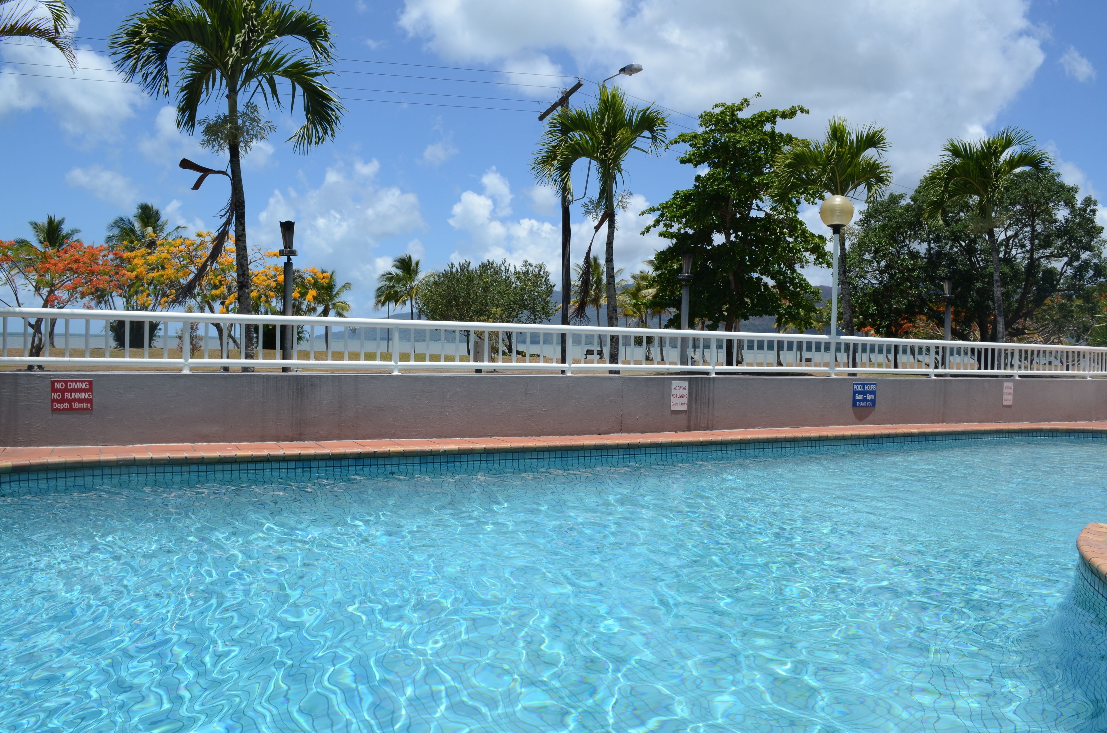 outdoor pool, pool loungers