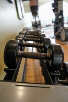 Eine Reihe schwarzer Hanteln auf einem Gestell im Fitnessstudio.