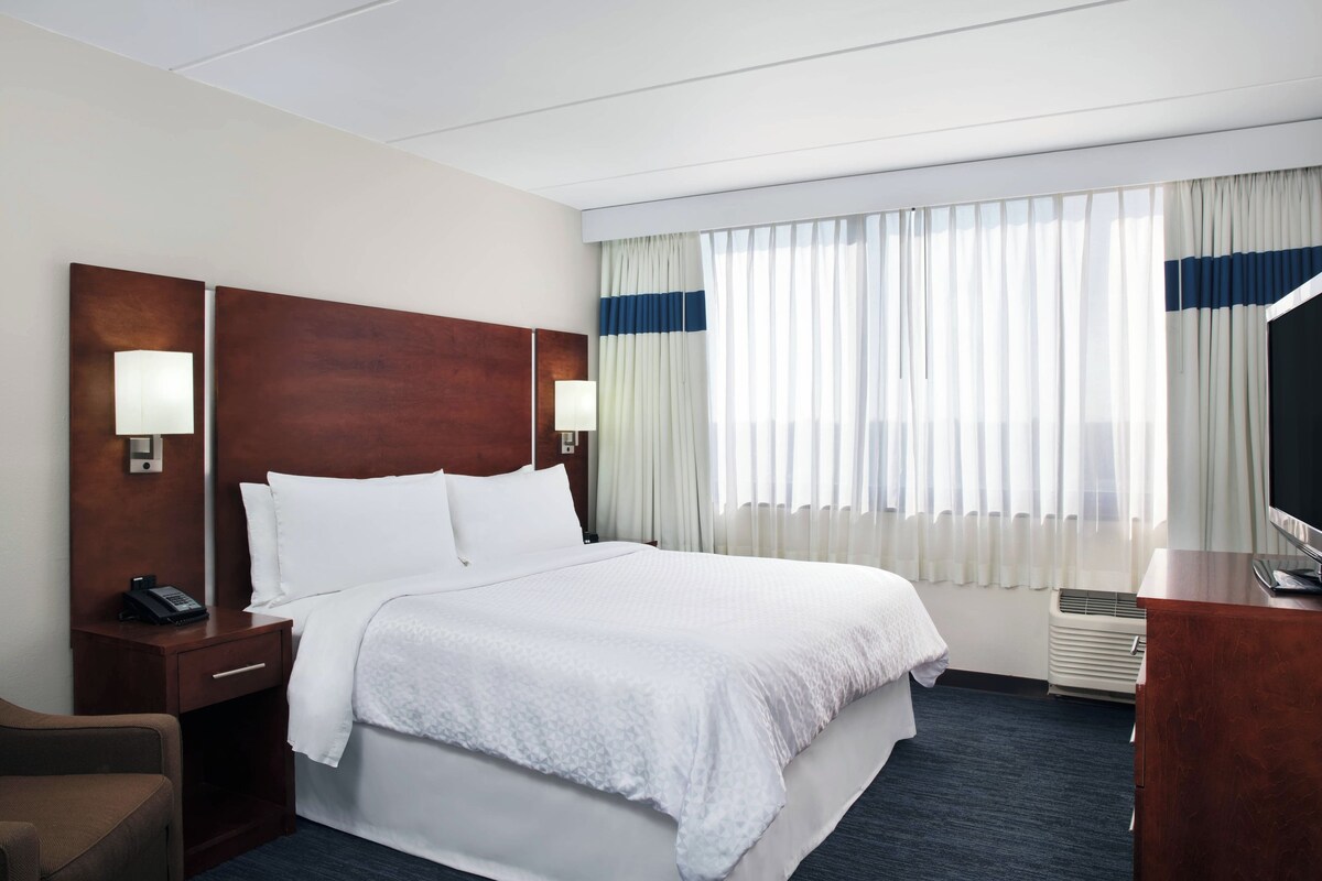 Suite, 1 habitación | Ropa de cama de alta calidad, edredones de plumas, caja fuerte