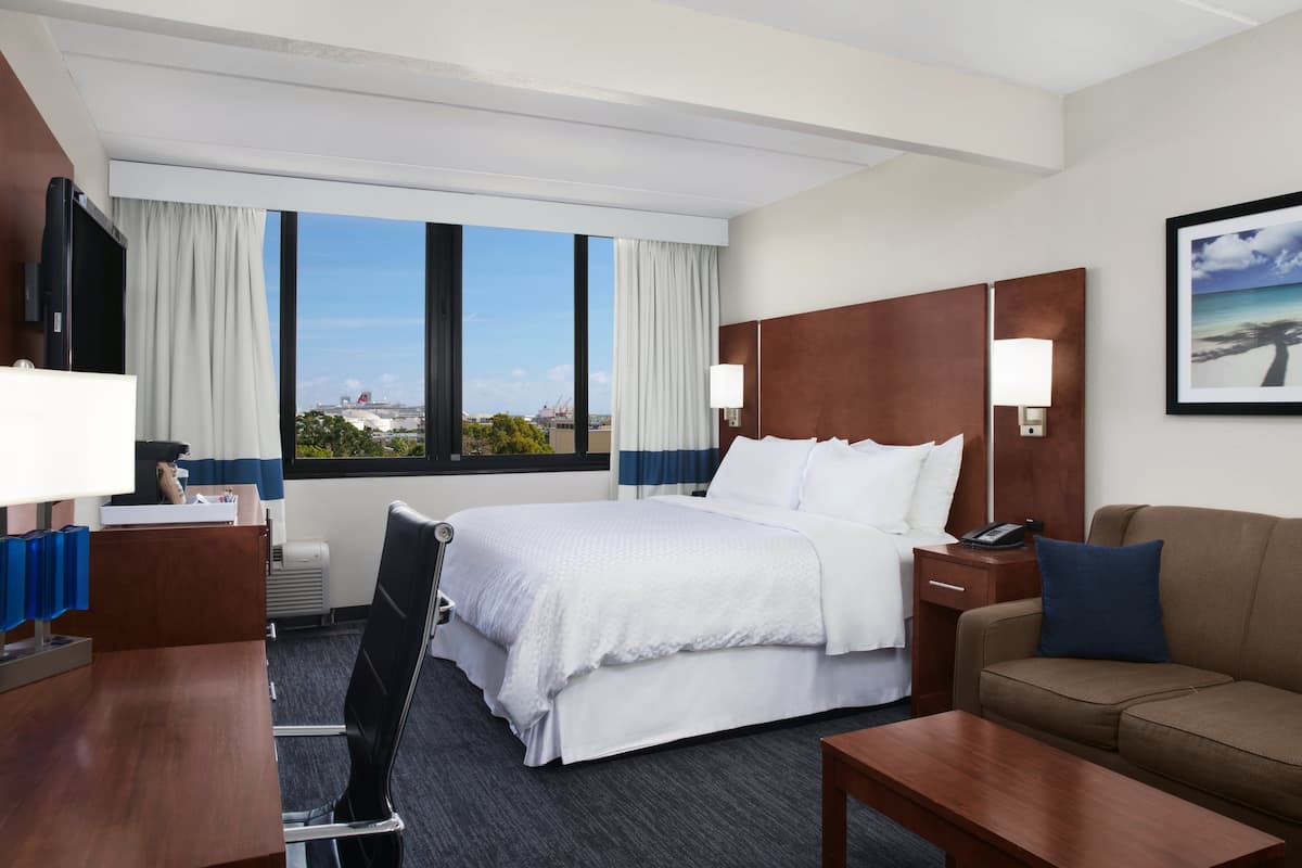 A hotel room with a large bed, a desk, a chair, a sofa, a TV, and a window with a view of the city.