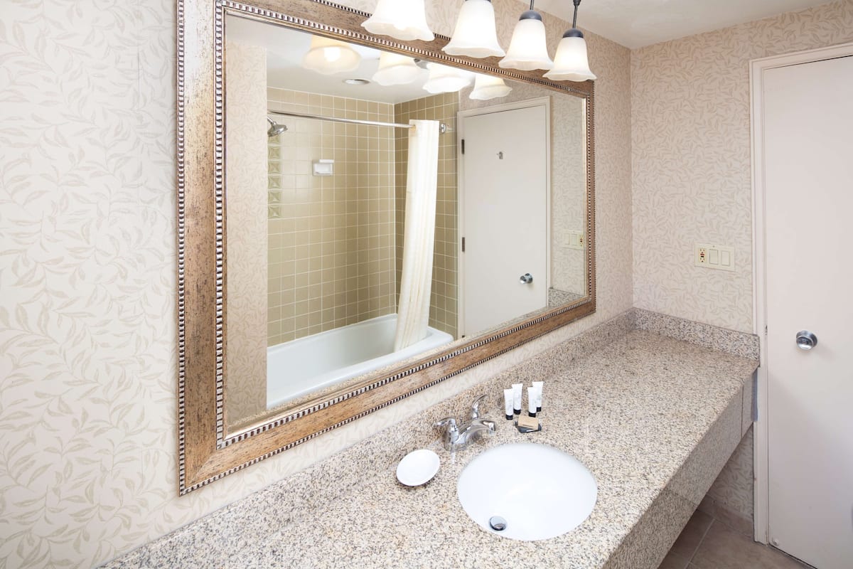 free toiletries, hair dryer, towels