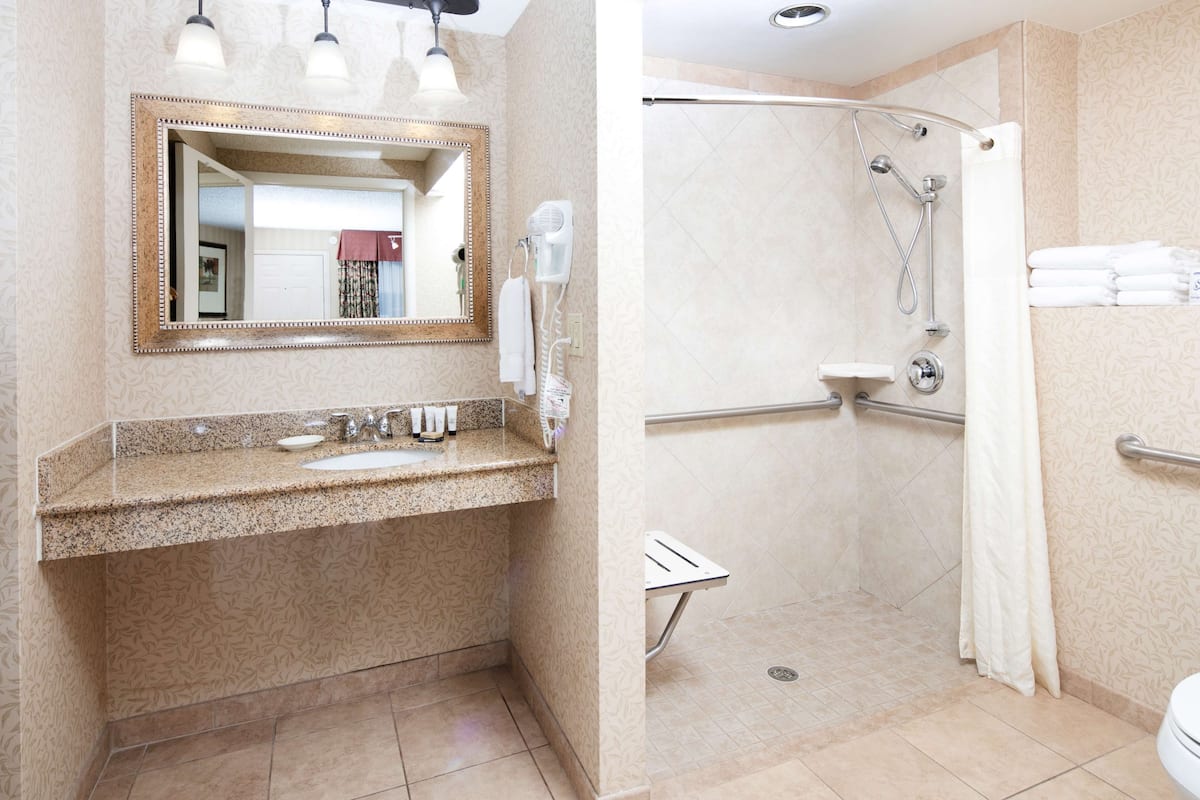 free toiletries, hair dryer, towels