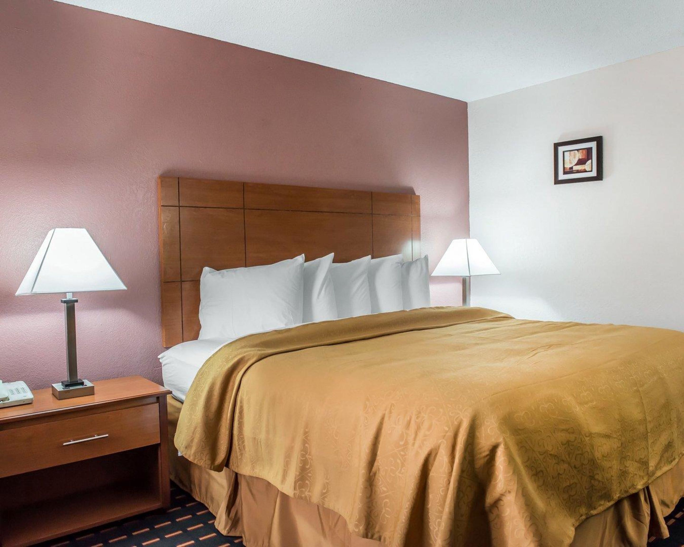Habitación de hotel con cabecera de madera, dos lámparas de noche, cama con colcha marrón, mesita de noche con teléfono y un pequeño cuadro en la pared.