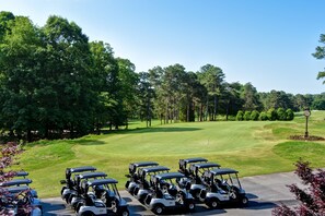 A golf course with multiple golf carts parked in a line. - Embassy Suites Greenville Golf Resort & Conference Center (Greenville)