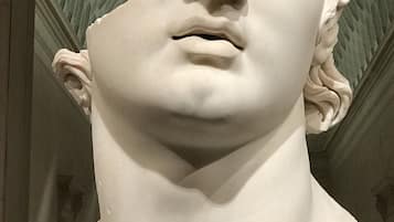 Una escultura de busto de mármol en un museo.